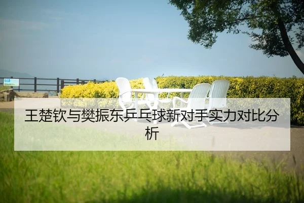 wang-chu-qin-yu-fan-zhen-dong-ping-pang-qiu-xin-dui-shou-shi-li-dui-bi-fen-xi-2-951.jpg