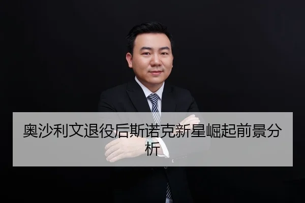 ao-sha-li-wen-tui-yi-hou-si-nuo-ke-xin-xing-jue-qi-qian-jing-fen-xi-2-355.jpg