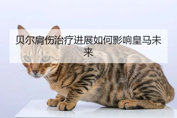 贝尔肩伤治疗进展如何影响皇马未来