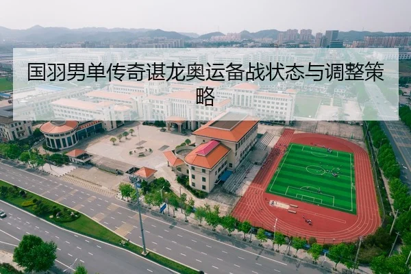 国羽男单传奇谌龙奥运备战状态与调整策略